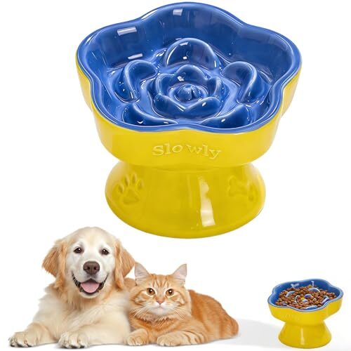 Meetoz Slow Feeder Cat Bowl Elevated