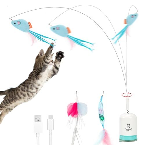 Migipaws Interactive Cat Toy for Indoor Cats