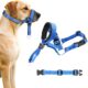 Motiback Adjustable Dog Headcollar Blue