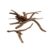 Emours Aquarium Driftwood for Tropical Fish