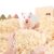 Maruisil Aspen Bedding for Small Animals