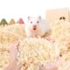 Maruisil Aspen Bedding for Small Animals