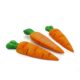 Rosewood Edible Chew Carrots for Small Animals