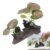 Natural Driftwood for Fish and Reptiles