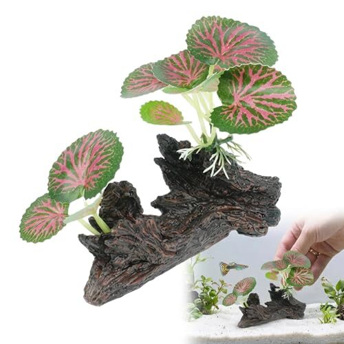 Natural Driftwood for Fish and Reptiles