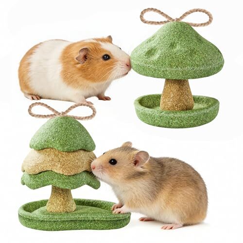 Rodizoo Dental Chew Toys for Small Animals