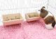 2 Pack Hanging Feeder Bowl for Small Animals