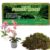 Natural Sphagnum Moss for Plants and Reptiles