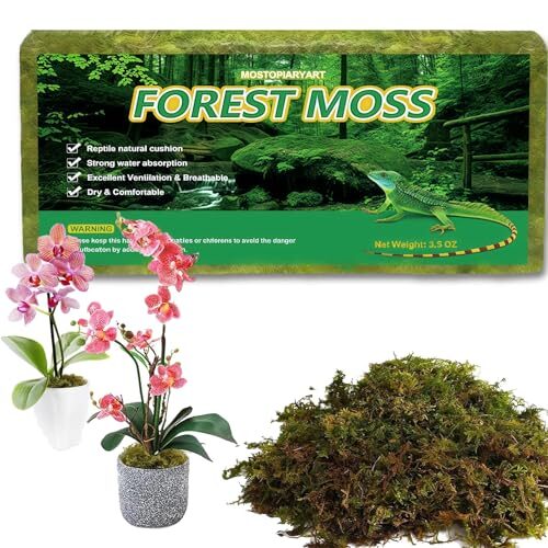Natural Sphagnum Moss for Plants and Reptiles