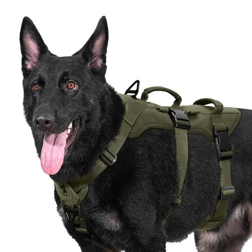 OneTigris No Pull Dog Harness for Large Dogs