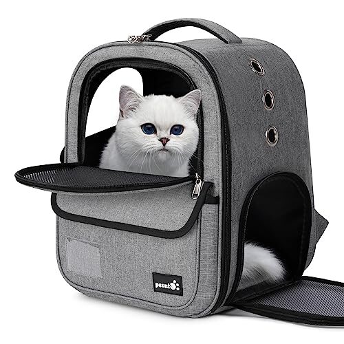 Pecute Large Cat Backpack for Kittens