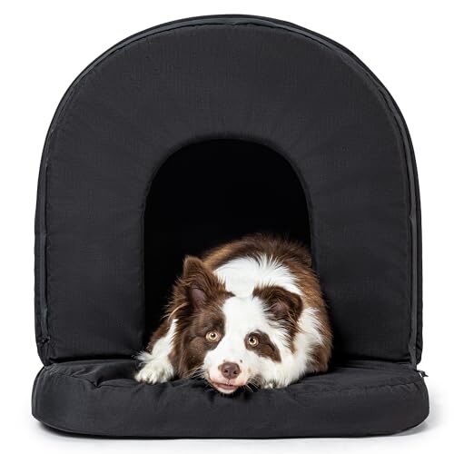 Pelzin Orthopaedic Dog House for Large Dogs
