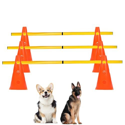 Skengwel Portable Dog Agility Training Set