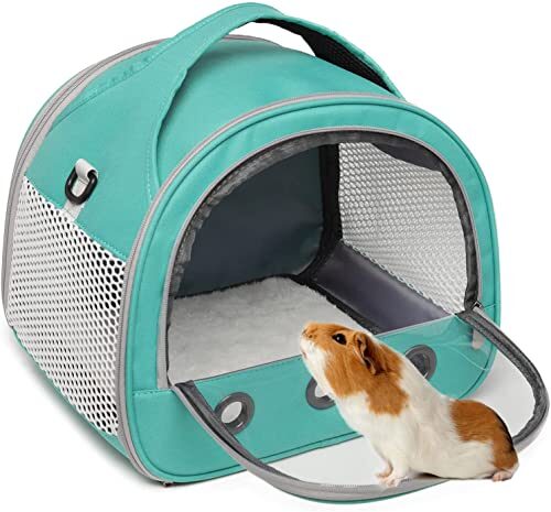 Portable Small Animal Carrier Bag Blue