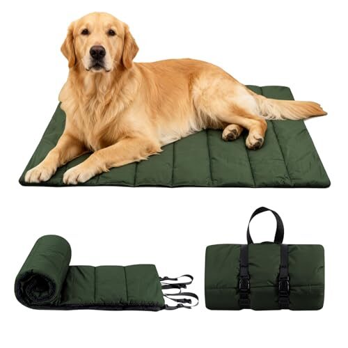 TranRantic Outdoor Dog Bed for Large Dogs