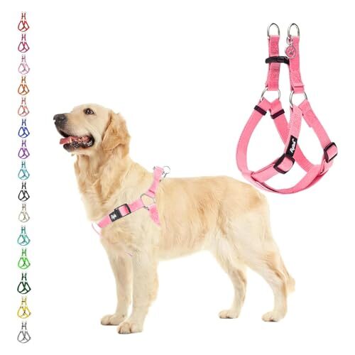 Pupteck No Pull Dog Harness for Small to Medium Dogs