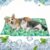 Qoosea Gel Dog Cooling Mat for Dogs and Cats