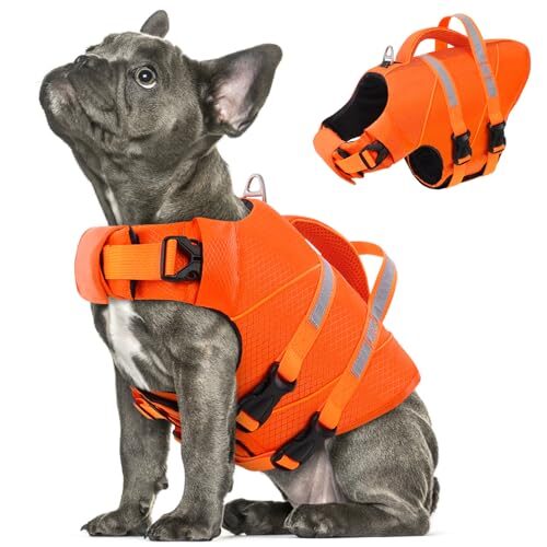 Queenmore Reflective Dog Lifejacket for Large Dogs