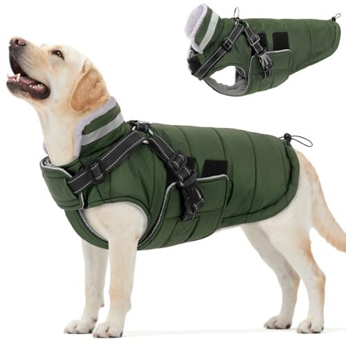 Queenmore Dog Coat for Extra Large Dogs