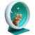 Silent Hamster Wheel With Stand Blue