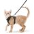 Rabbitgoo Reflective Cat Harness for Kittens