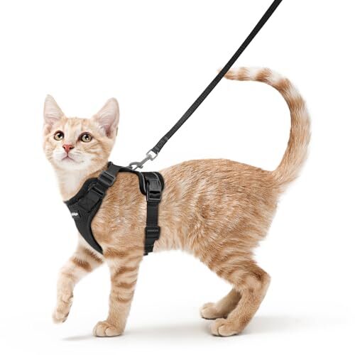 Rabbitgoo Reflective Cat Harness for Kittens