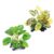 Artificial Terrarium Plants For Reptiles And Amphibians