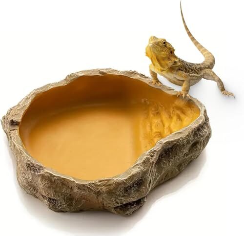Muyyika Resin Reptile Water Bowl For Small Reptiles