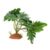 Capastec Realistic Terrarium Plant for Reptiles