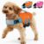 IECOii Reflective Dog Lifejacket for Small Dogs