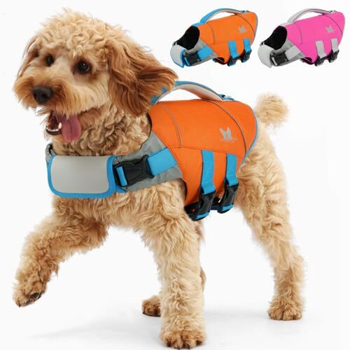 IECOii Reflective Dog Lifejacket for Small Dogs
