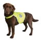 Trixie Reflective Dog Safety Vest for Medium Dogs