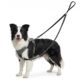 Double Ended Dog Lead for Small and Medium Dogs