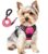 Jomkig No Pull Dog Harness for Small Dogs