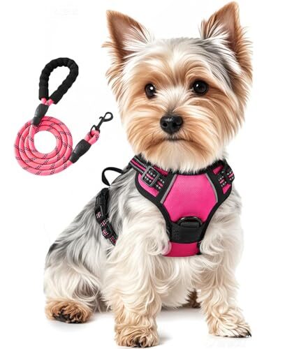 Jomkig No Pull Dog Harness for Small Dogs