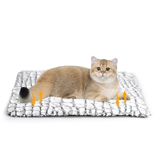 Petace Self-Warming Cat Bed for Kittens