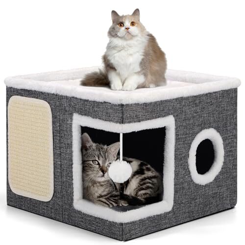 Shikha Interactive Cat House for Cats