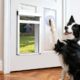 Tidytech Automatic Cat Flap for Dogs