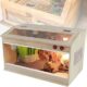 Incubator Terrarium for Reptiles and Amphibians