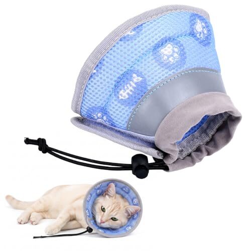 Qianyu Adjustable Cat Collar for Kittens