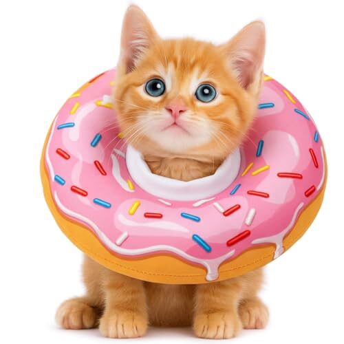 Adjustable Cat Collar for Small Cats