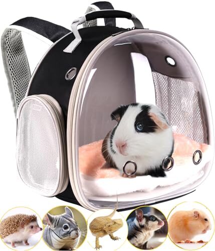 Travel Backpack Carrier for Bearded Dragons