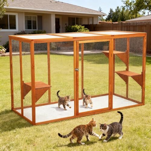 Multi-Level Cat House for Cats
