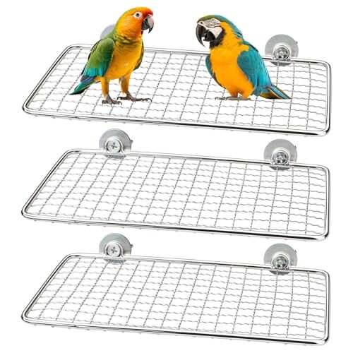 3 Pack Training Bird Perch Platforms