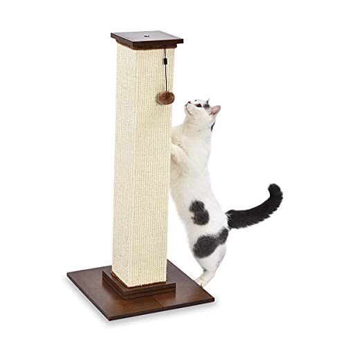 Amazon Basics Wooden Cat Scratching Post