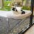 Zakkart Cat Window Perch for Large Cats