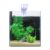 Swell LED Cube Aquarium Kit