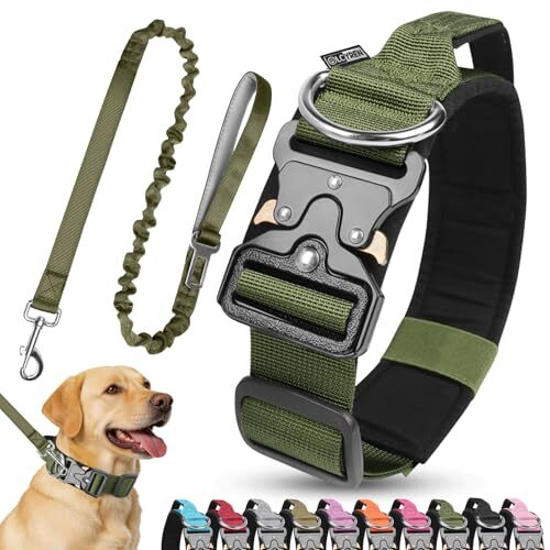Olcyren Adjustable Dog Collar for Medium and Large Dogs
