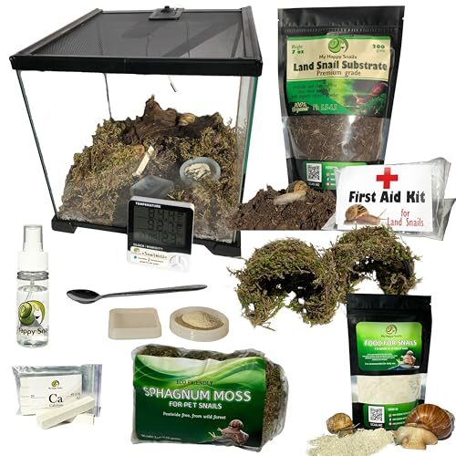 Complete Snail Terrarium Starter Kit