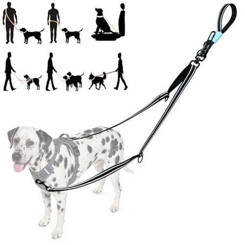 Tiesenci Reflective Dog Lead for Large Dogs